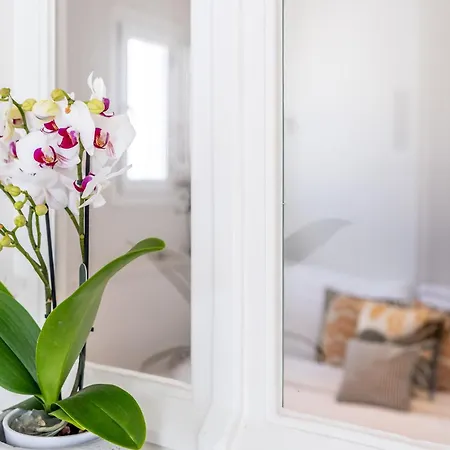 Town Pin By Monocle *